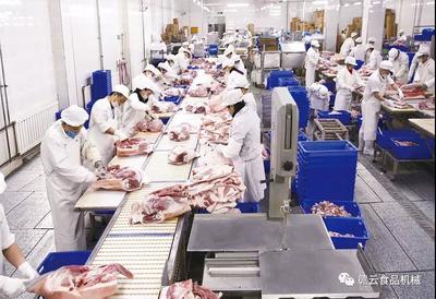 觸目驚心！豬價“跌跌不休”，養(yǎng)殖戶何去何從？食品銷售端迎來新挑戰(zhàn)與機遇